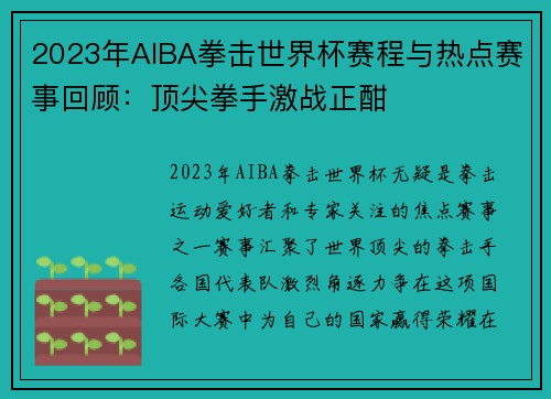 2023年AIBA拳击世界杯赛程与热点赛事回顾：顶尖拳手激战正酣